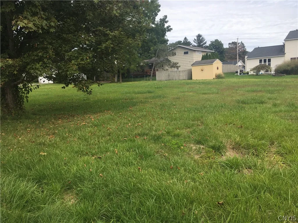 Looking front to the back line