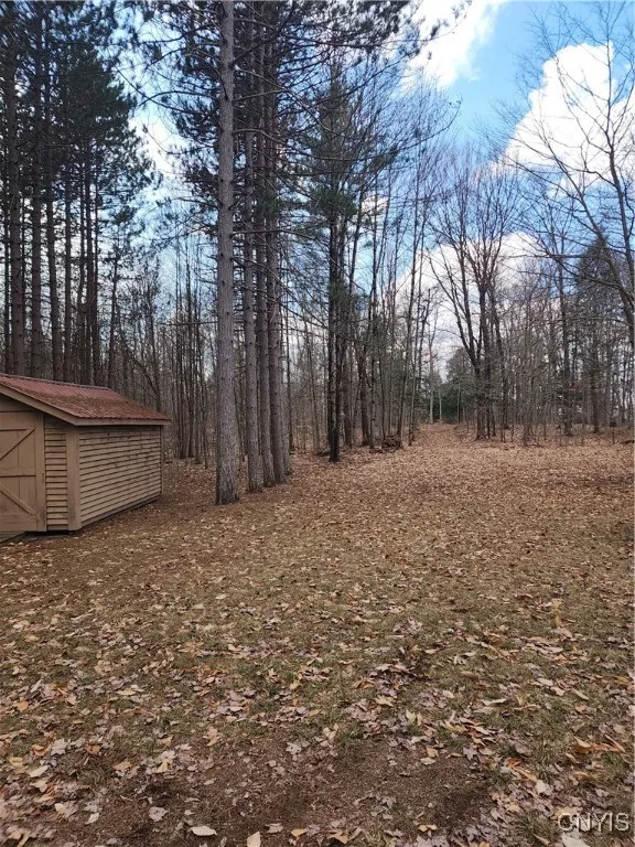 9606 Frank Kirch Road, Croghan, New York 13327, Croghan, New York 13327, 2 Bedrooms Bedrooms, 4 Rooms Rooms,Land,For Sale,9606 Frank Kirch Road, Croghan, New York 13327,0,S1599925