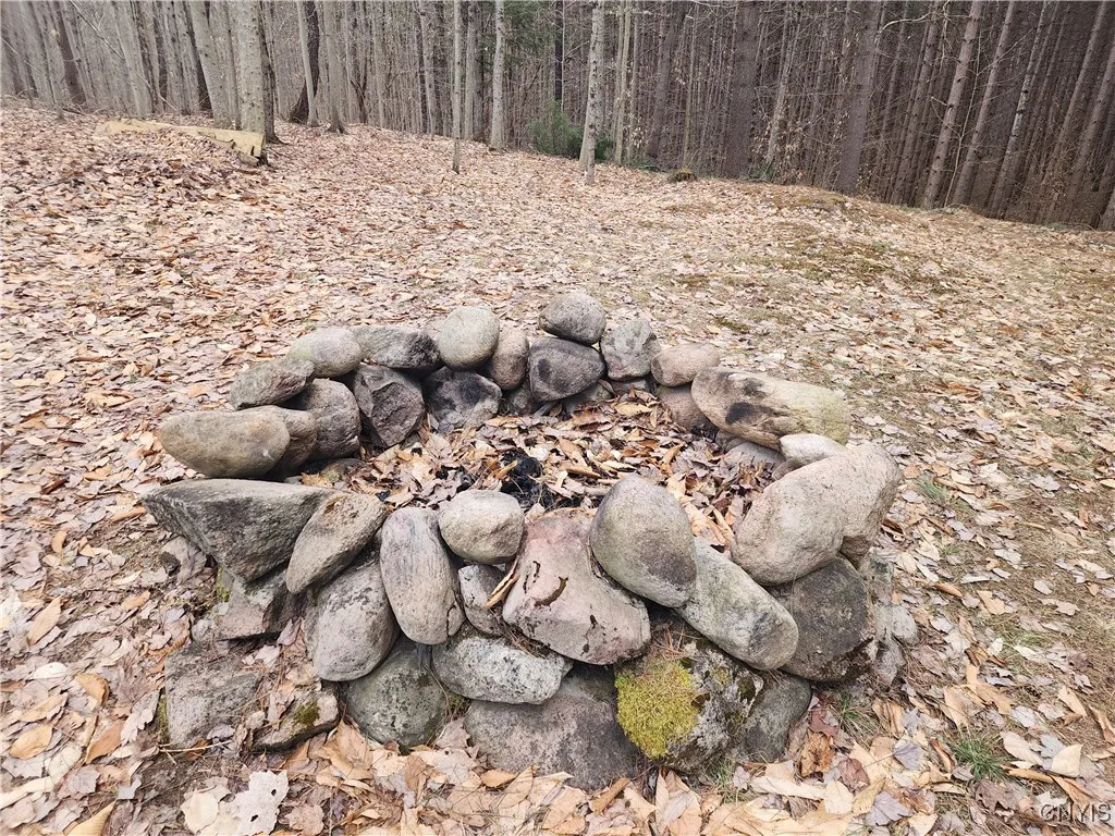 9606 Frank Kirch Road, Croghan, New York 13327, Croghan, New York 13327, 2 Bedrooms Bedrooms, 4 Rooms Rooms,Land,For Sale,9606 Frank Kirch Road, Croghan, New York 13327,0,S1599925