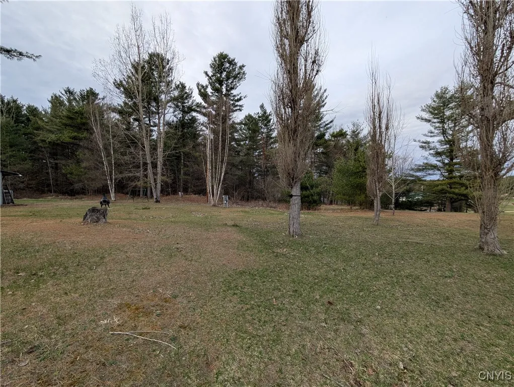 Plenty of room for a couple RVS