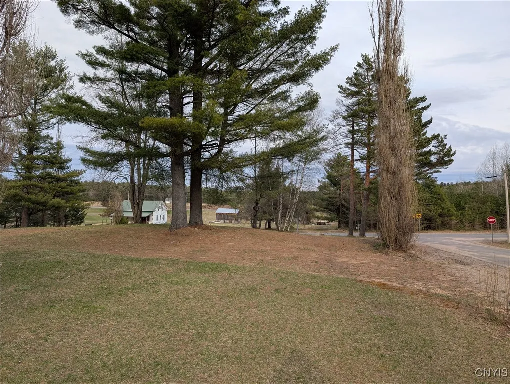 6 Shaw Road, Edwards, New York 13635, Edwards, New York 13635, 1 Bedroom Bedrooms, ,1 BathroomBathrooms,Land,For Sale,6 Shaw Road, Edwards, New York 13635,0,S1599556