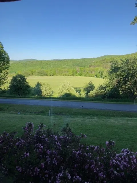 1421 Roof Road, Sidney, New York 13839, Sidney, New York 13839, 5 Bedrooms Bedrooms, 7 Rooms Rooms,2 BathroomsBathrooms,Residential,For Sale,1421 Roof Road, Sidney, New York 13839,0,R1597584