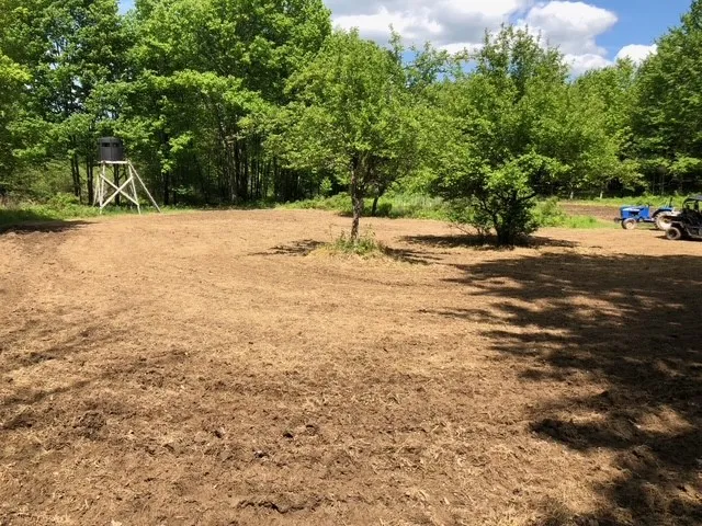 1421 Roof Road, Sidney, New York 13839, Sidney, New York 13839, 5 Bedrooms Bedrooms, 7 Rooms Rooms,2 BathroomsBathrooms,Residential,For Sale,1421 Roof Road, Sidney, New York 13839,0,R1597584