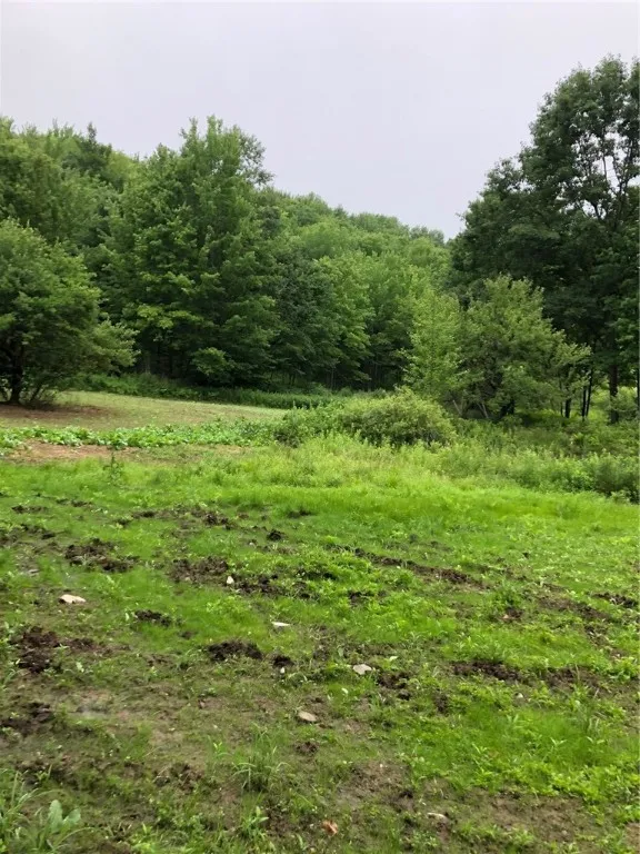 1421 Roof Road, Sidney, New York 13839, Sidney, New York 13839, 5 Bedrooms Bedrooms, 7 Rooms Rooms,2 BathroomsBathrooms,Residential,For Sale,1421 Roof Road, Sidney, New York 13839,0,R1597584
