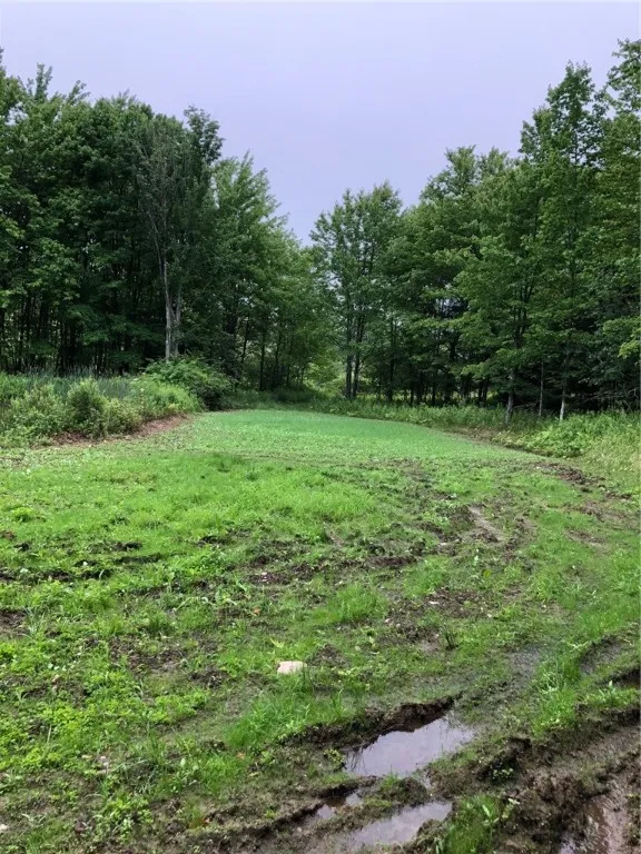 1421 Roof Road, Sidney, New York 13839, Sidney, New York 13839, 5 Bedrooms Bedrooms, 7 Rooms Rooms,2 BathroomsBathrooms,Residential,For Sale,1421 Roof Road, Sidney, New York 13839,0,R1597584