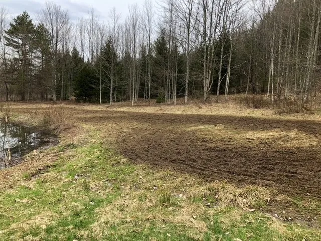 1421 Roof Road, Sidney, New York 13839, Sidney, New York 13839, 5 Bedrooms Bedrooms, 7 Rooms Rooms,2 BathroomsBathrooms,Residential,For Sale,1421 Roof Road, Sidney, New York 13839,0,R1597584