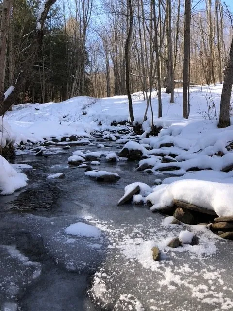 1421 Roof Road, Sidney, New York 13839, Sidney, New York 13839, 5 Bedrooms Bedrooms, 7 Rooms Rooms,2 BathroomsBathrooms,Residential,For Sale,1421 Roof Road, Sidney, New York 13839,0,R1597584