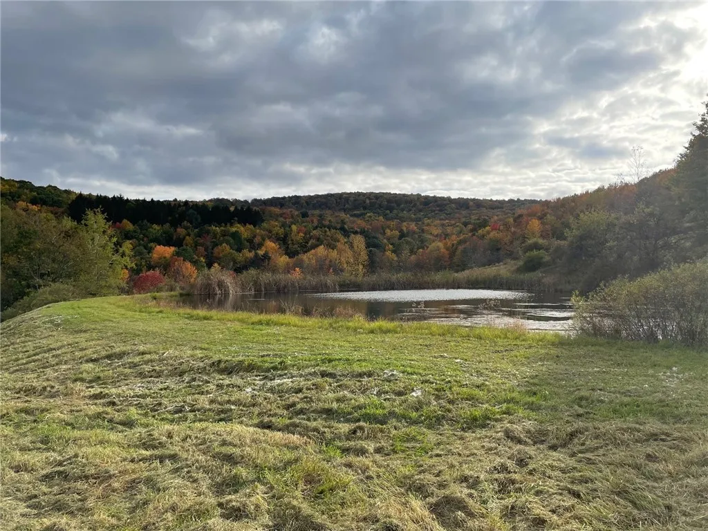 1421 Roof Road, Sidney, New York 13839, Sidney, New York 13839, 5 Bedrooms Bedrooms, 7 Rooms Rooms,2 BathroomsBathrooms,Residential,For Sale,1421 Roof Road, Sidney, New York 13839,0,R1597584