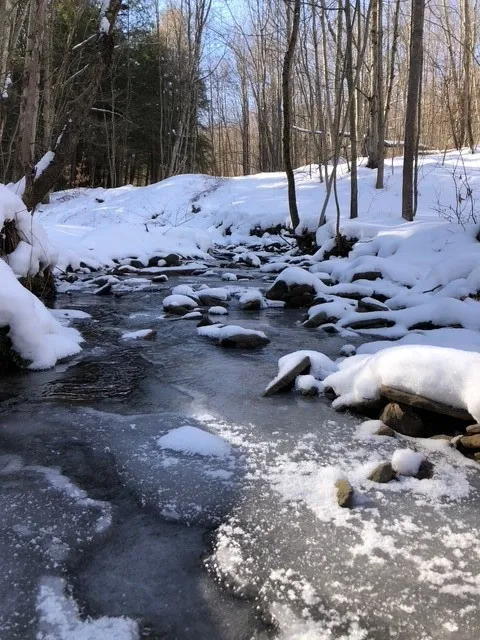 1421 Roof Road, Sidney, New York 13839, Sidney, New York 13839, 5 Bedrooms Bedrooms, 7 Rooms Rooms,2 BathroomsBathrooms,Residential,For Sale,1421 Roof Road, Sidney, New York 13839,0,R1597584