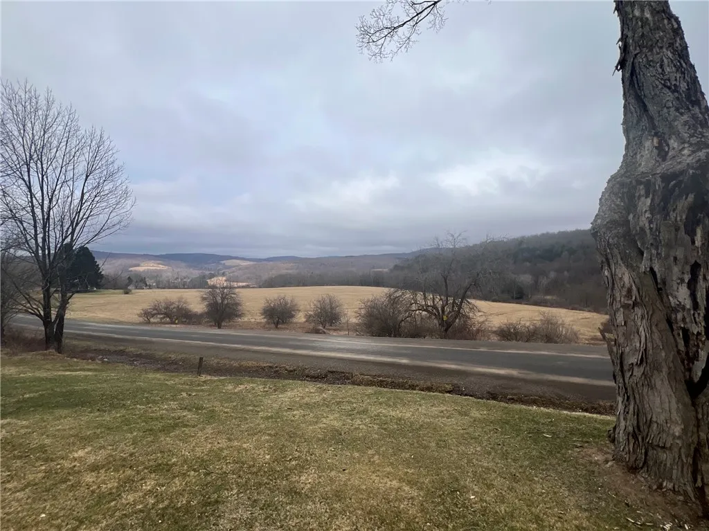 1421 Roof Road, Sidney, New York 13839, Sidney, New York 13839, 5 Bedrooms Bedrooms, 7 Rooms Rooms,2 BathroomsBathrooms,Residential,For Sale,1421 Roof Road, Sidney, New York 13839,0,R1597584