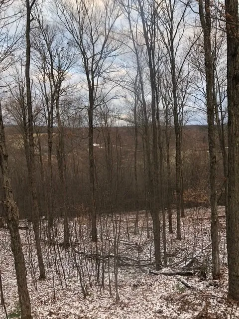 1421 Roof Road, Sidney, New York 13839, Sidney, New York 13839, 5 Bedrooms Bedrooms, 7 Rooms Rooms,2 BathroomsBathrooms,Residential,For Sale,1421 Roof Road, Sidney, New York 13839,0,R1597584