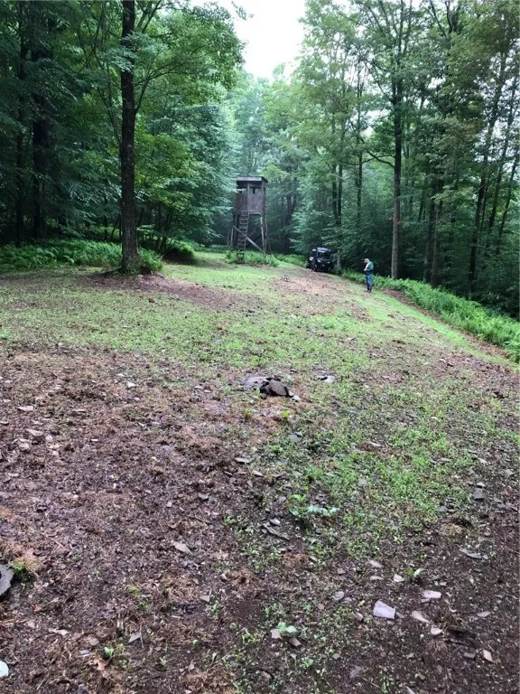1421 Roof Road, Sidney, New York 13839, Sidney, New York 13839, 5 Bedrooms Bedrooms, 7 Rooms Rooms,2 BathroomsBathrooms,Residential,For Sale,1421 Roof Road, Sidney, New York 13839,0,R1597584