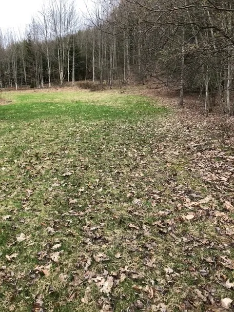 1421 Roof Road, Sidney, New York 13839, Sidney, New York 13839, 5 Bedrooms Bedrooms, 7 Rooms Rooms,2 BathroomsBathrooms,Residential,For Sale,1421 Roof Road, Sidney, New York 13839,0,R1597584