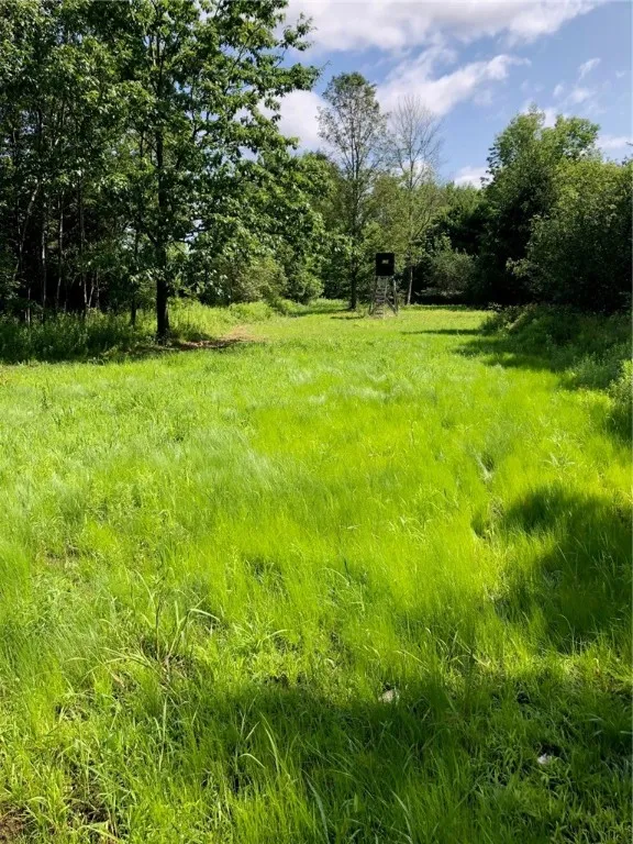 1421 Roof Road, Sidney, New York 13839, Sidney, New York 13839, 5 Bedrooms Bedrooms, 7 Rooms Rooms,2 BathroomsBathrooms,Residential,For Sale,1421 Roof Road, Sidney, New York 13839,0,R1597584