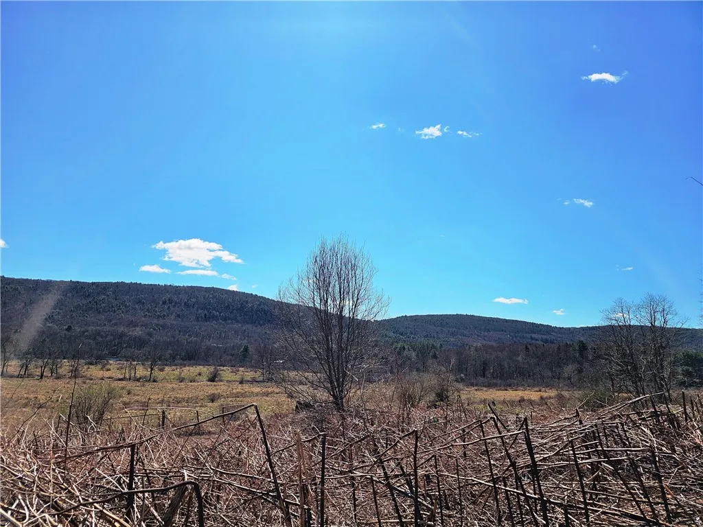 3214 State Highway 28, Milford, New York 13834, Milford, New York 13834, ,1 BathroomBathrooms,Land,Closed,3214 State Highway 28, Milford, New York 13834,0,R1600024 3214 State Highway 28, Milford, New York 13834, Milford, New York 13834, ,1 BathroomBathrooms,Land,Closed,3214 State Highway 28, Milford, New York 13834,0,R1600024