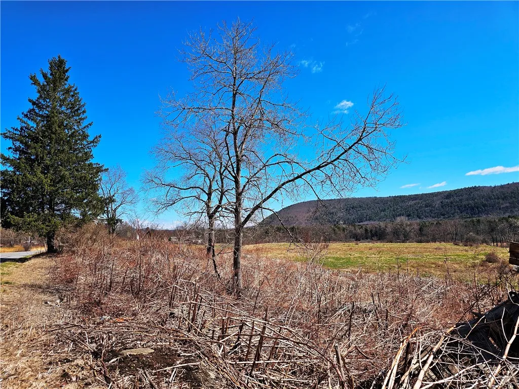 3214 State Highway 28, Milford, New York 13834, Milford, New York 13834, ,1 BathroomBathrooms,Land,Closed,3214 State Highway 28, Milford, New York 13834,0,R1600024 3214 State Highway 28, Milford, New York 13834, Milford, New York 13834, ,1 BathroomBathrooms,Land,Closed,3214 State Highway 28, Milford, New York 13834,0,R1600024