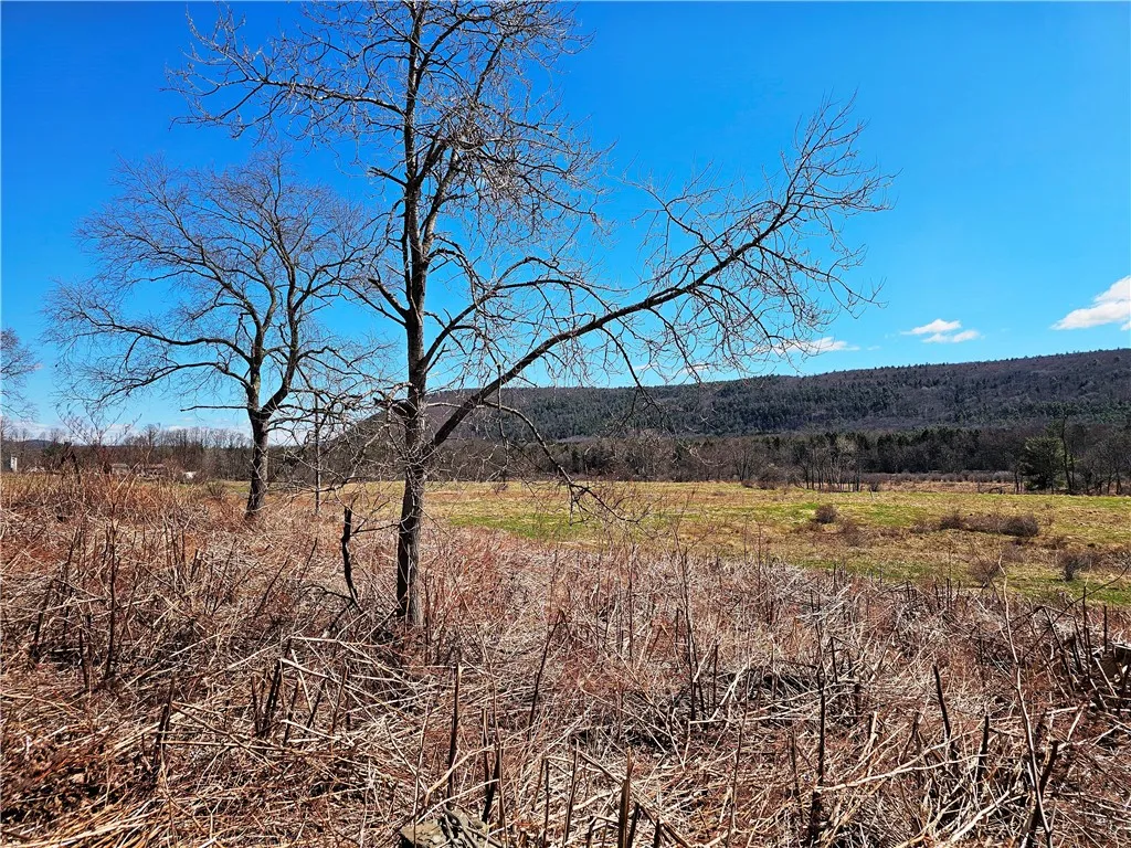 3214 State Highway 28, Milford, New York 13834, Milford, New York 13834, ,1 BathroomBathrooms,Land,Closed,3214 State Highway 28, Milford, New York 13834,0,R1600024