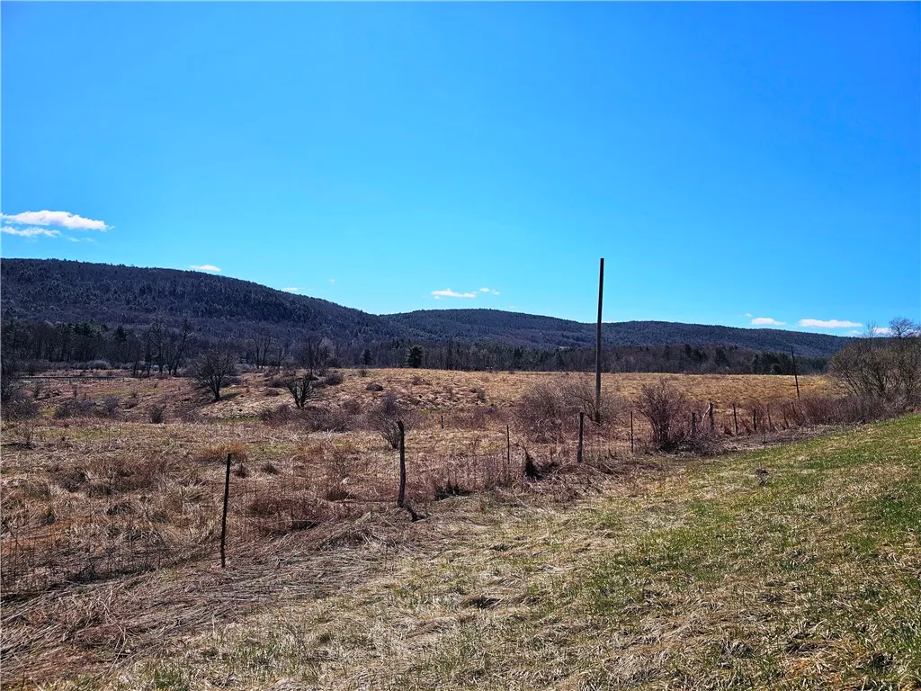 3214 State Highway 28, Milford, New York 13834, Milford, New York 13834, ,1 BathroomBathrooms,Land,Closed,3214 State Highway 28, Milford, New York 13834,0,R1600024 3214 State Highway 28, Milford, New York 13834, Milford, New York 13834, ,1 BathroomBathrooms,Land,Closed,3214 State Highway 28, Milford, New York 13834,0,R1600024