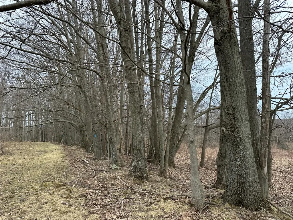 1972 Monegan Road, Burns, New York 14822, Burns, New York 14822, 3 Bedrooms Bedrooms, 7 Rooms Rooms,2 BathroomsBathrooms,Residential,For Sale,1972 Monegan Road, Burns, New York 14822,0,R1600553