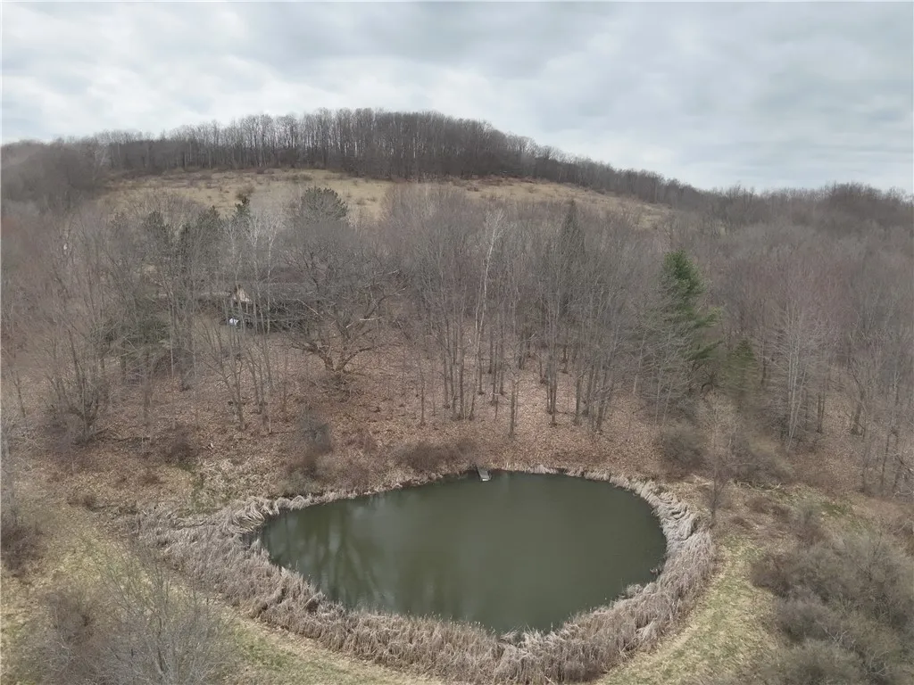 1972 Monegan Road, Burns, New York 14822, Burns, New York 14822, 3 Bedrooms Bedrooms, 7 Rooms Rooms,2 BathroomsBathrooms,Residential,For Sale,1972 Monegan Road, Burns, New York 14822,0,R1600553