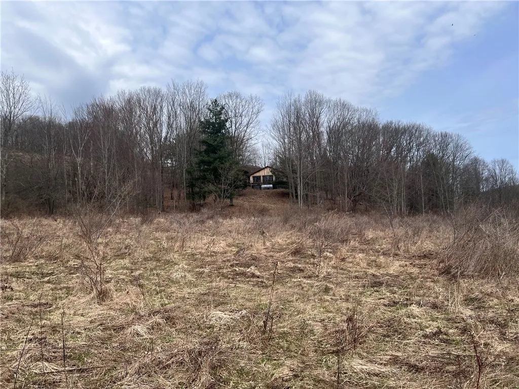1972 Monegan Road, Burns, New York 14822, Burns, New York 14822, 3 Bedrooms Bedrooms, 7 Rooms Rooms,2 BathroomsBathrooms,Residential,For Sale,1972 Monegan Road, Burns, New York 14822,0,R1600553