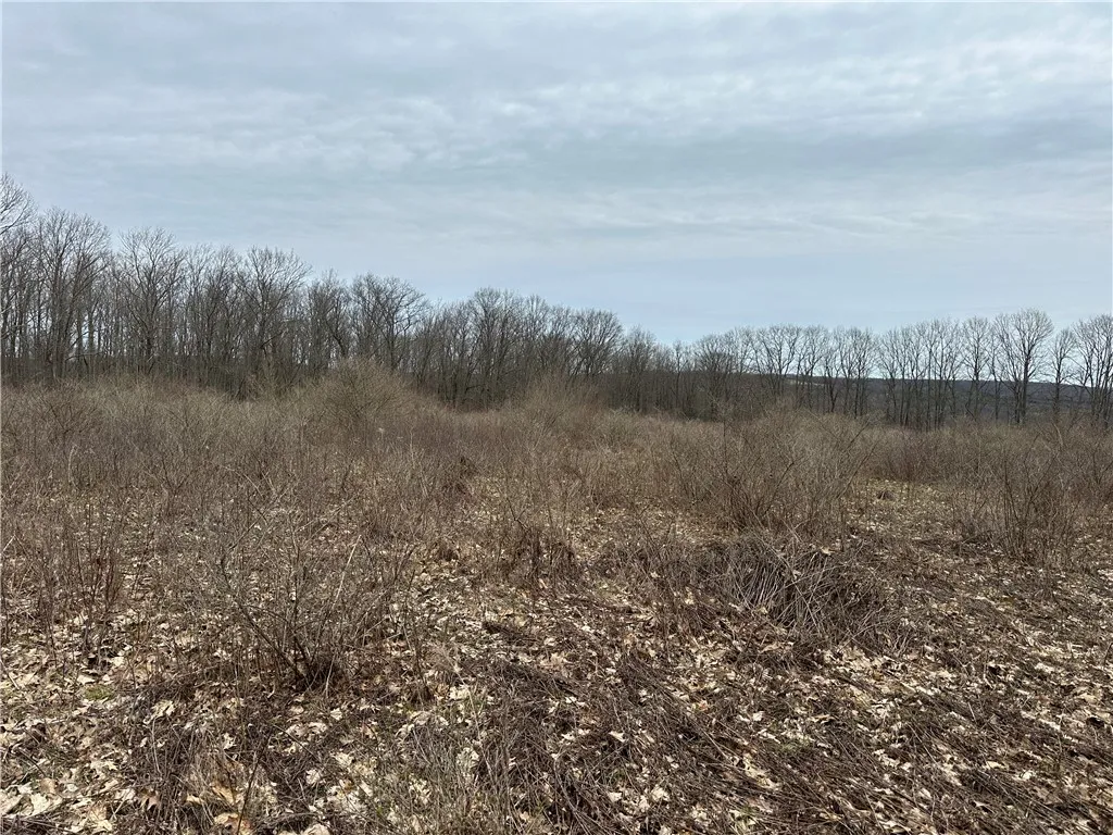 1972 Monegan Road, Burns, New York 14822, Burns, New York 14822, 3 Bedrooms Bedrooms, 7 Rooms Rooms,2 BathroomsBathrooms,Residential,For Sale,1972 Monegan Road, Burns, New York 14822,0,R1600553