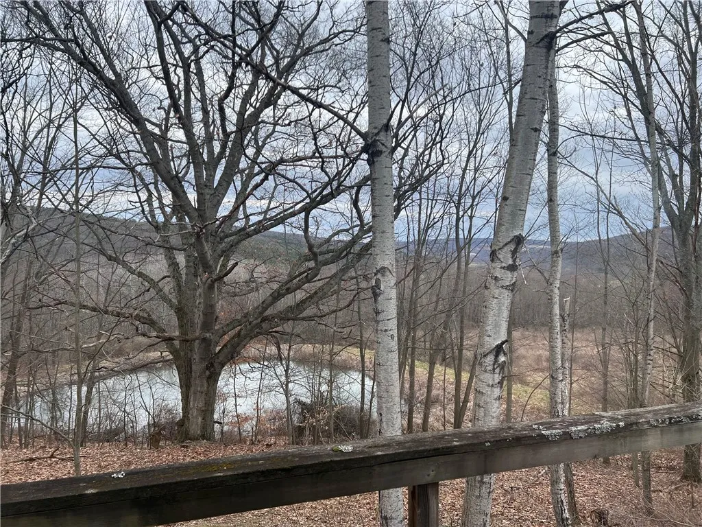 1972 Monegan Road, Burns, New York 14822, Burns, New York 14822, 3 Bedrooms Bedrooms, 7 Rooms Rooms,2 BathroomsBathrooms,Residential,For Sale,1972 Monegan Road, Burns, New York 14822,0,R1600553