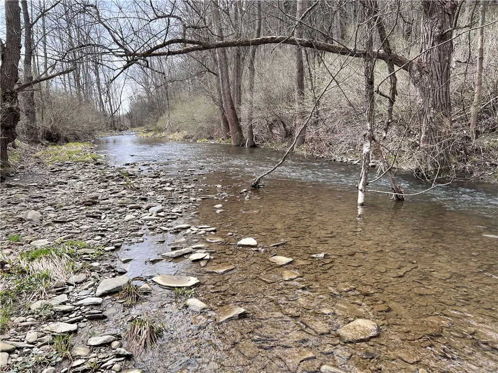 1972 Monegan Road, Burns, New York 14822, Burns, New York 14822, 3 Bedrooms Bedrooms, 7 Rooms Rooms,2 BathroomsBathrooms,Residential,For Sale,1972 Monegan Road, Burns, New York 14822,0,R1600553