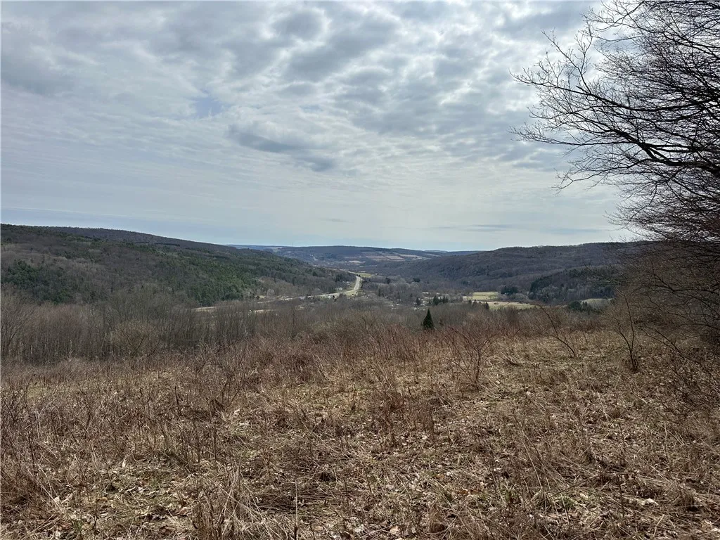 1972 Monegan Road, Burns, New York 14822, Burns, New York 14822, 3 Bedrooms Bedrooms, 7 Rooms Rooms,2 BathroomsBathrooms,Residential,For Sale,1972 Monegan Road, Burns, New York 14822,0,R1600553