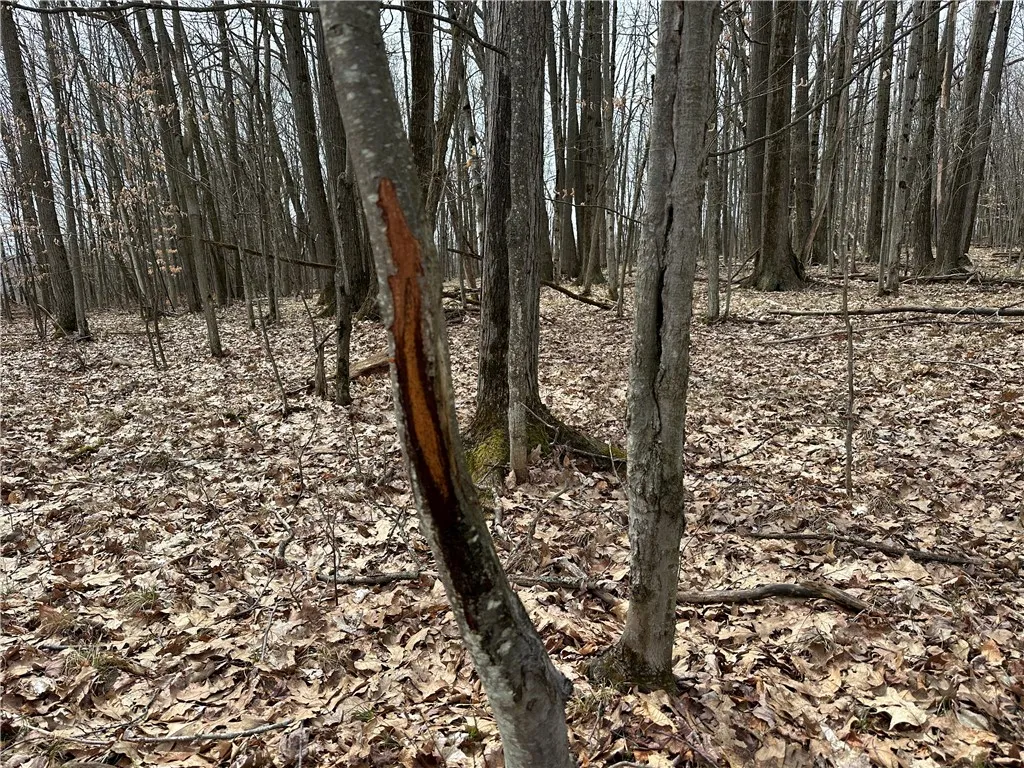 1972 Monegan Road, Burns, New York 14822, Burns, New York 14822, 3 Bedrooms Bedrooms, 7 Rooms Rooms,2 BathroomsBathrooms,Residential,For Sale,1972 Monegan Road, Burns, New York 14822,0,R1600553