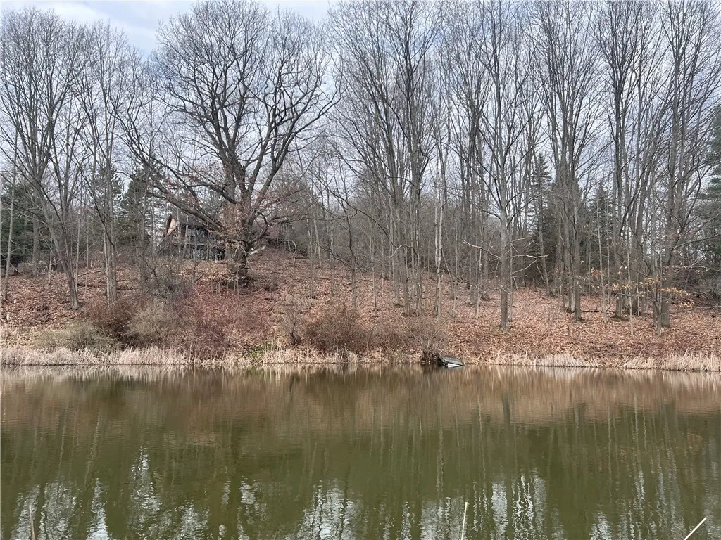 1972 Monegan Road, Burns, New York 14822, Burns, New York 14822, 3 Bedrooms Bedrooms, 7 Rooms Rooms,2 BathroomsBathrooms,Residential,For Sale,1972 Monegan Road, Burns, New York 14822,0,R1600553