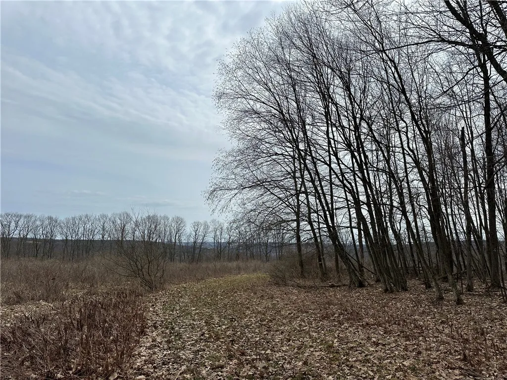 1972 Monegan Road, Burns, New York 14822, Burns, New York 14822, 3 Bedrooms Bedrooms, 7 Rooms Rooms,2 BathroomsBathrooms,Residential,For Sale,1972 Monegan Road, Burns, New York 14822,0,R1600553