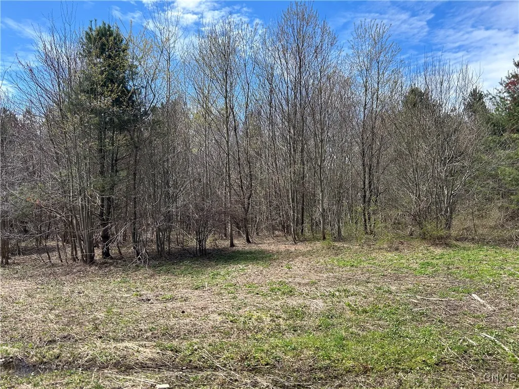 Rt-104, Albion, New York 13302, Albion, New York 13302, ,Land,For Sale,Rt-104, Albion, New York 13302,0,S1600700