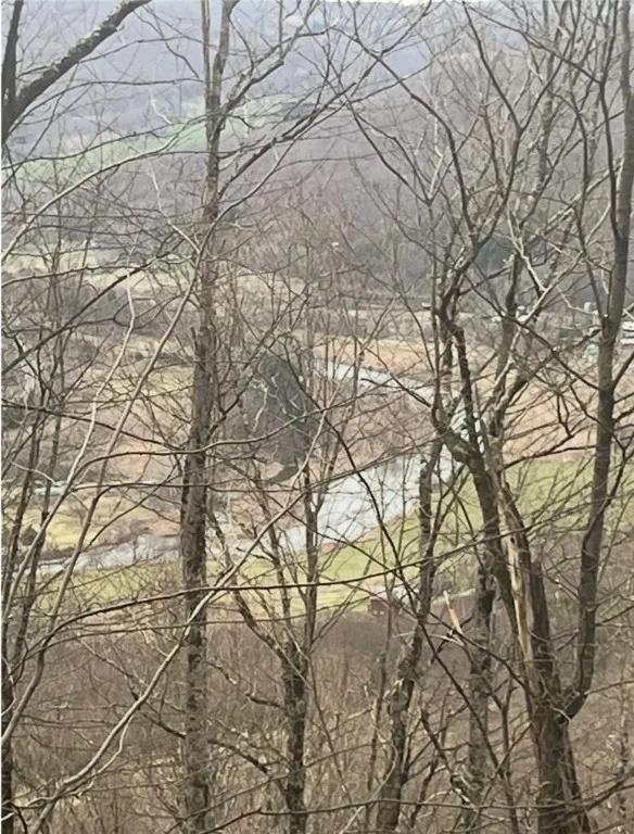 Houck Mountain Road, Walton, New York 13856, Walton, New York 13856, ,Land,For Sale,Houck Mountain Road, Walton, New York 13856,R1600888