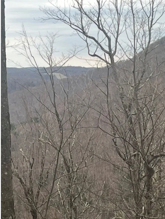 Houck Mountain Road, Walton, New York 13856, Walton, New York 13856, ,Land,For Sale,Houck Mountain Road, Walton, New York 13856,R1600888