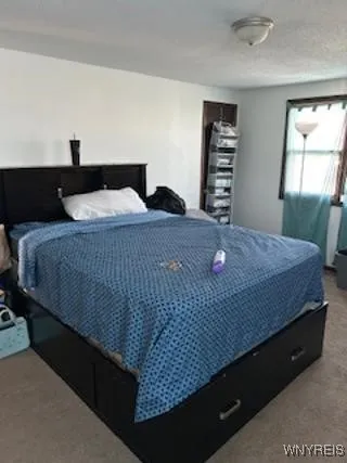 124 Fairgreen Drive, Amherst, New York 14228, Amherst, New York 14228, 6 Bedrooms Bedrooms, ,2 BathroomsBathrooms,Residential,Closed,124 Fairgreen Drive, Amherst, New York 14228,0,B1600375