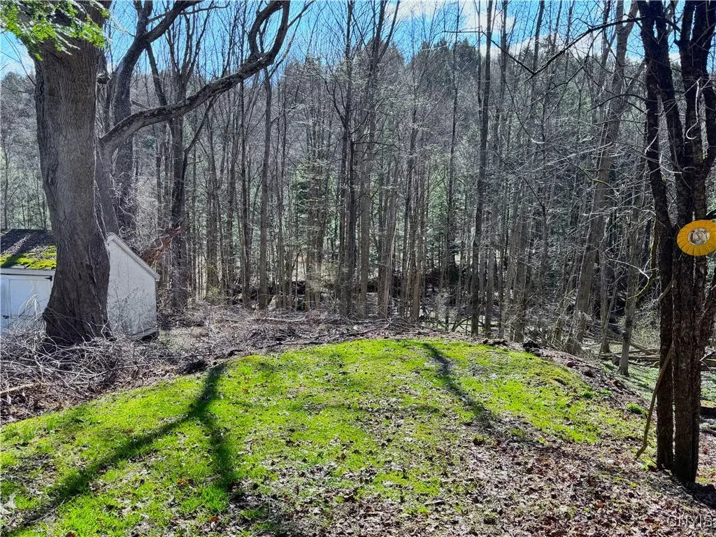186 Valley View Road, New Hartford, New York 13413, New Hartford, New York 13413, 3 Bedrooms Bedrooms, 7 Rooms Rooms,2 BathroomsBathrooms,Residential,Closed,186 Valley View Road, New Hartford, New York 13413,0,S1600795