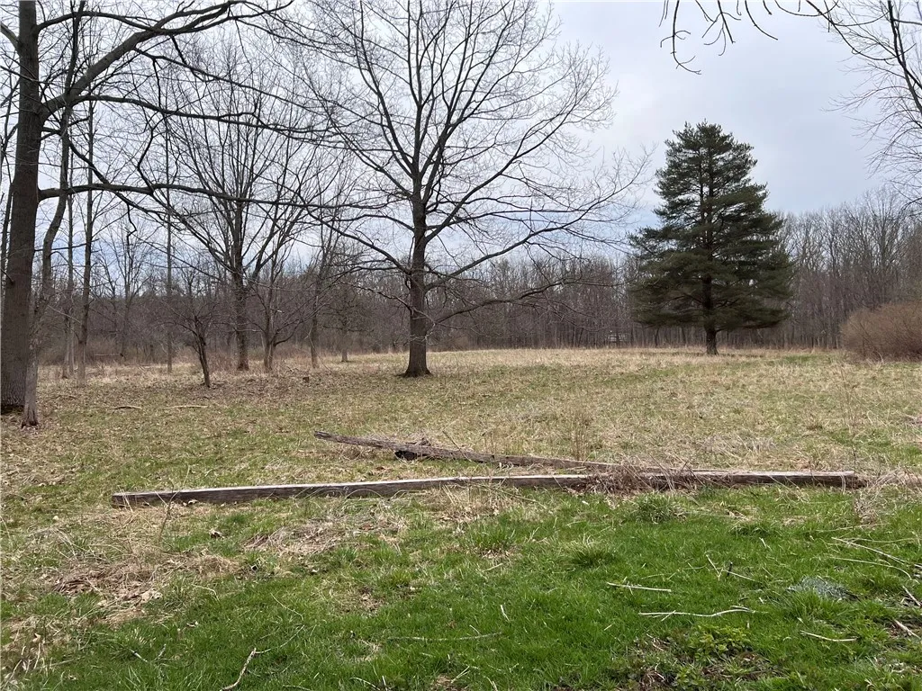 V/l Sandy Creek Lane, Murray, New York 14470, Murray, New York 14470, 3 Bedrooms Bedrooms, ,2 BathroomsBathrooms,Land,Closed,V/l Sandy Creek Lane, Murray, New York 14470,0,R1601269