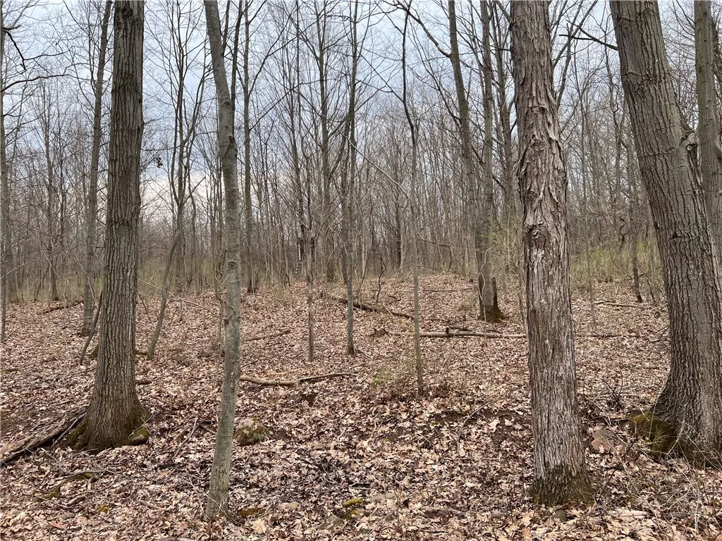 V/l Sandy Creek Lane, Murray, New York 14470, Murray, New York 14470, 3 Bedrooms Bedrooms, ,2 BathroomsBathrooms,Land,Closed,V/l Sandy Creek Lane, Murray, New York 14470,0,R1601269