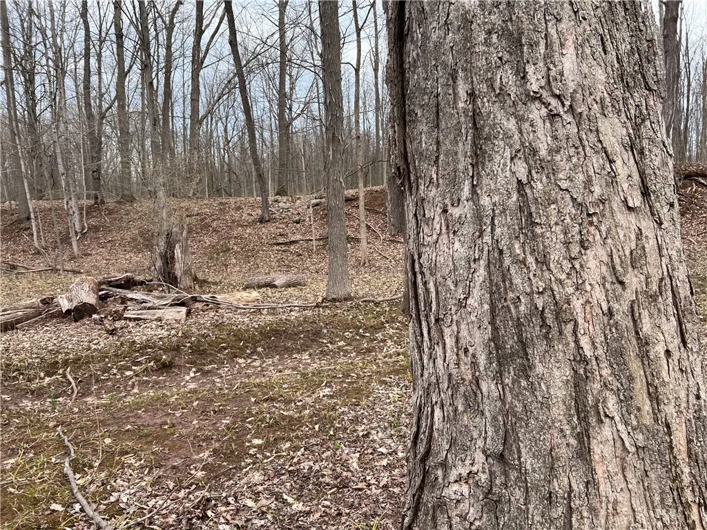 V/l Sandy Creek Lane, Murray, New York 14470, Murray, New York 14470, 3 Bedrooms Bedrooms, ,2 BathroomsBathrooms,Land,Closed,V/l Sandy Creek Lane, Murray, New York 14470,0,R1601269