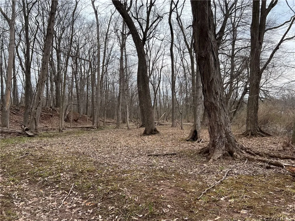 V/l Sandy Creek Lane, Murray, New York 14470, Murray, New York 14470, 3 Bedrooms Bedrooms, ,2 BathroomsBathrooms,Land,Closed,V/l Sandy Creek Lane, Murray, New York 14470,0,R1601269