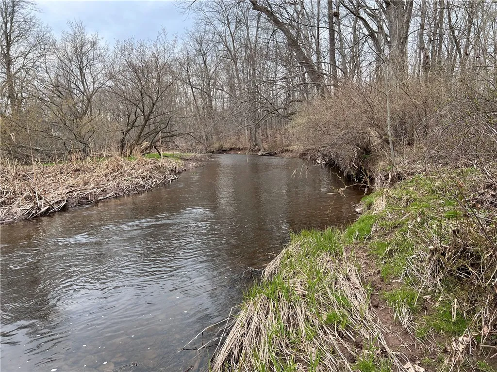 V/l Sandy Creek Lane, Murray, New York 14470, Murray, New York 14470, 3 Bedrooms Bedrooms, ,2 BathroomsBathrooms,Land,Closed,V/l Sandy Creek Lane, Murray, New York 14470,0,R1601269