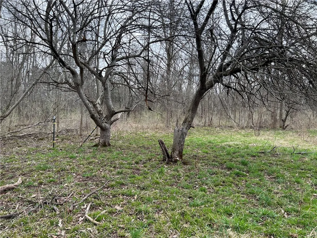 V/l Sandy Creek Lane, Murray, New York 14470, Murray, New York 14470, 3 Bedrooms Bedrooms, ,2 BathroomsBathrooms,Land,Closed,V/l Sandy Creek Lane, Murray, New York 14470,0,R1601269