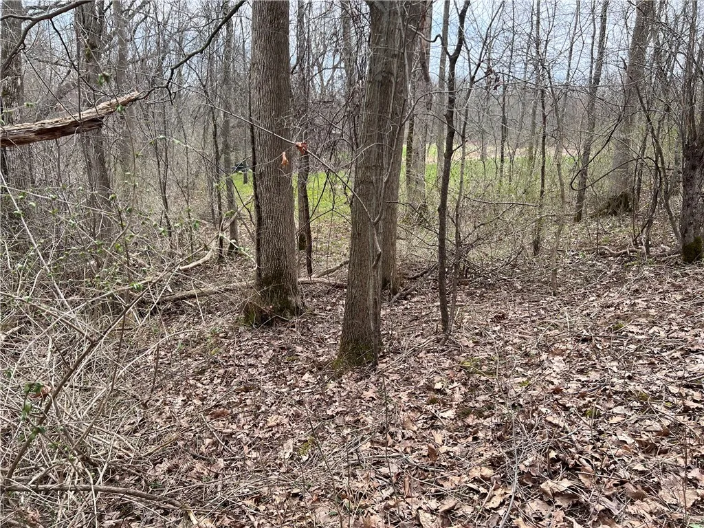 V/l Sandy Creek Lane, Murray, New York 14470, Murray, New York 14470, 3 Bedrooms Bedrooms, ,2 BathroomsBathrooms,Land,Closed,V/l Sandy Creek Lane, Murray, New York 14470,0,R1601269