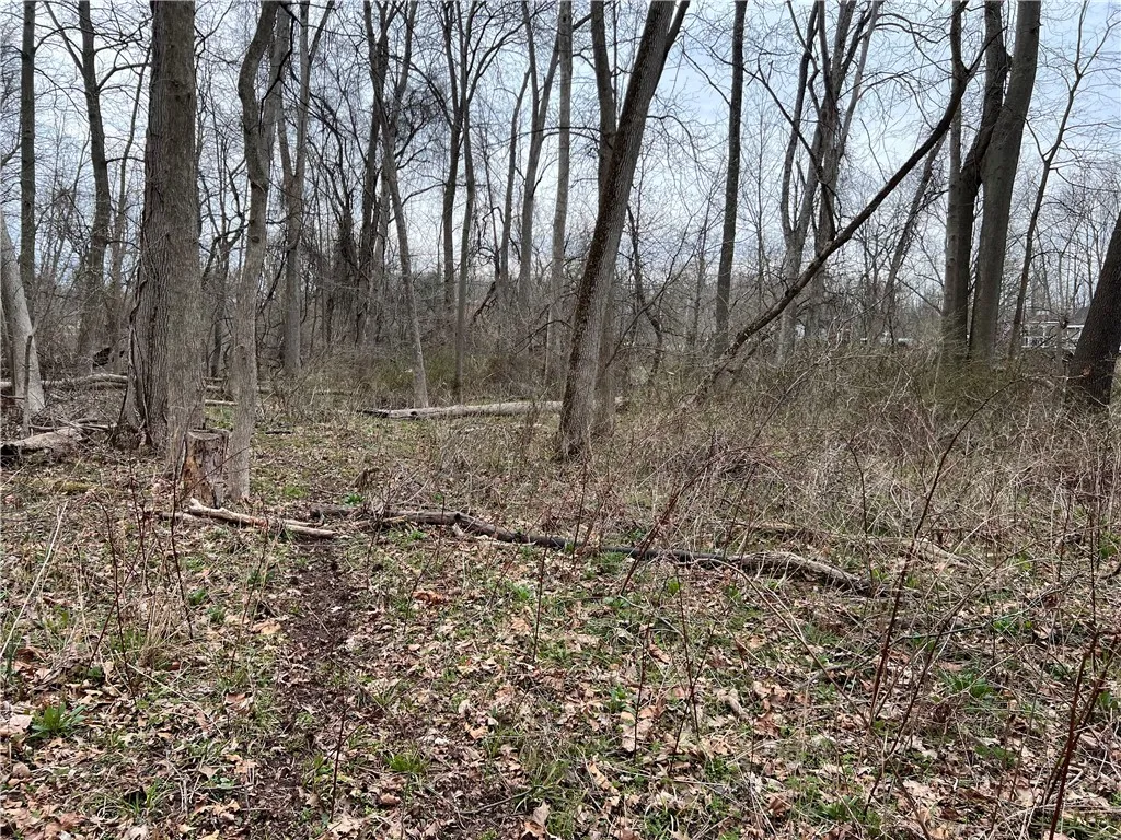 V/l Sandy Creek Lane, Murray, New York 14470, Murray, New York 14470, 3 Bedrooms Bedrooms, ,2 BathroomsBathrooms,Land,Closed,V/l Sandy Creek Lane, Murray, New York 14470,0,R1601269