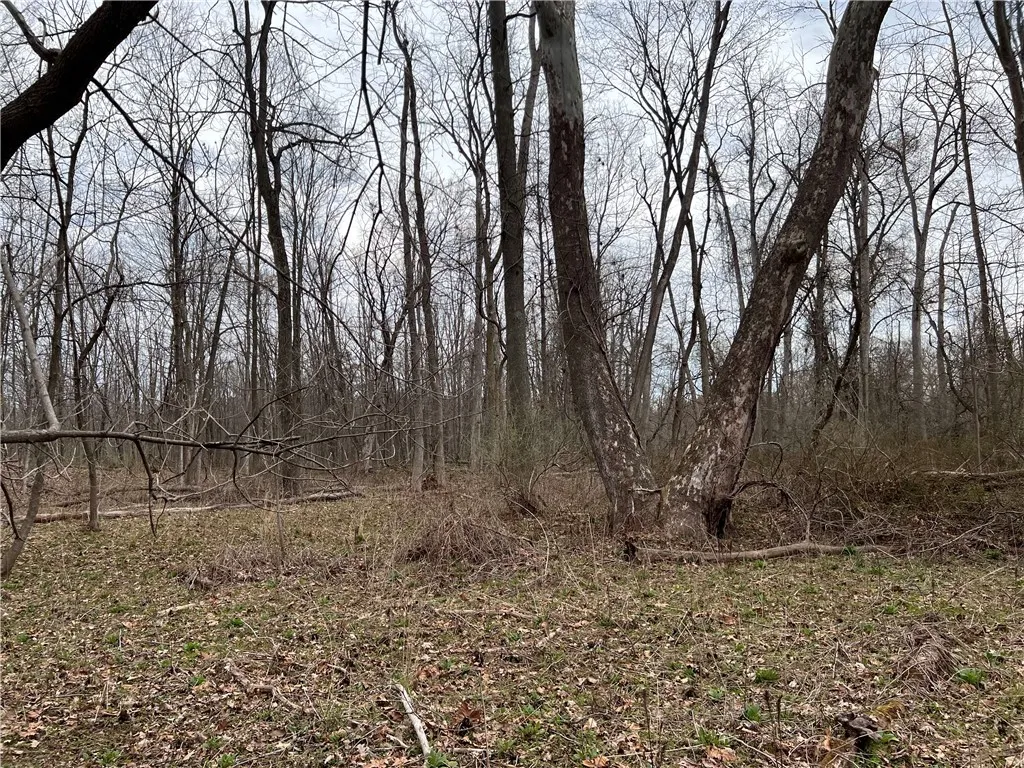 V/l Sandy Creek Lane, Murray, New York 14470, Murray, New York 14470, 3 Bedrooms Bedrooms, ,2 BathroomsBathrooms,Land,Closed,V/l Sandy Creek Lane, Murray, New York 14470,0,R1601269