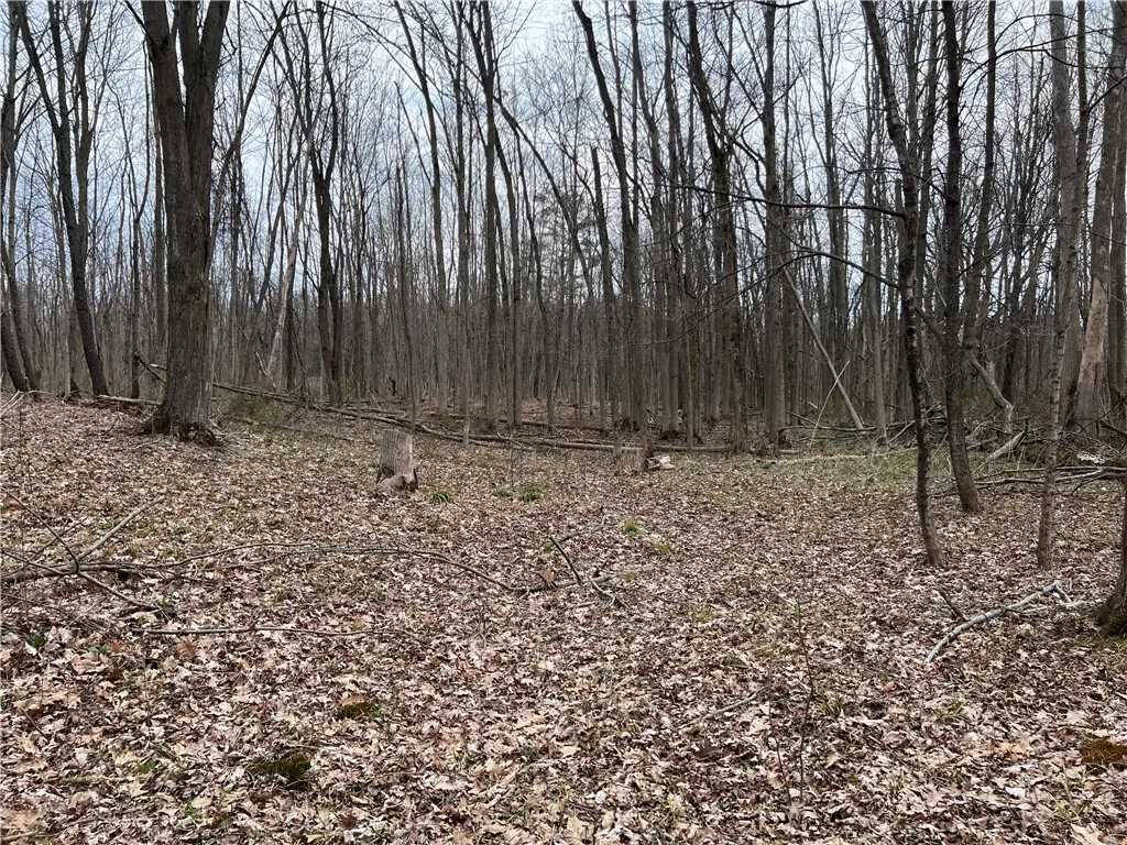 V/l Sandy Creek Lane, Murray, New York 14470, Murray, New York 14470, 3 Bedrooms Bedrooms, ,2 BathroomsBathrooms,Land,Closed,V/l Sandy Creek Lane, Murray, New York 14470,0,R1601269