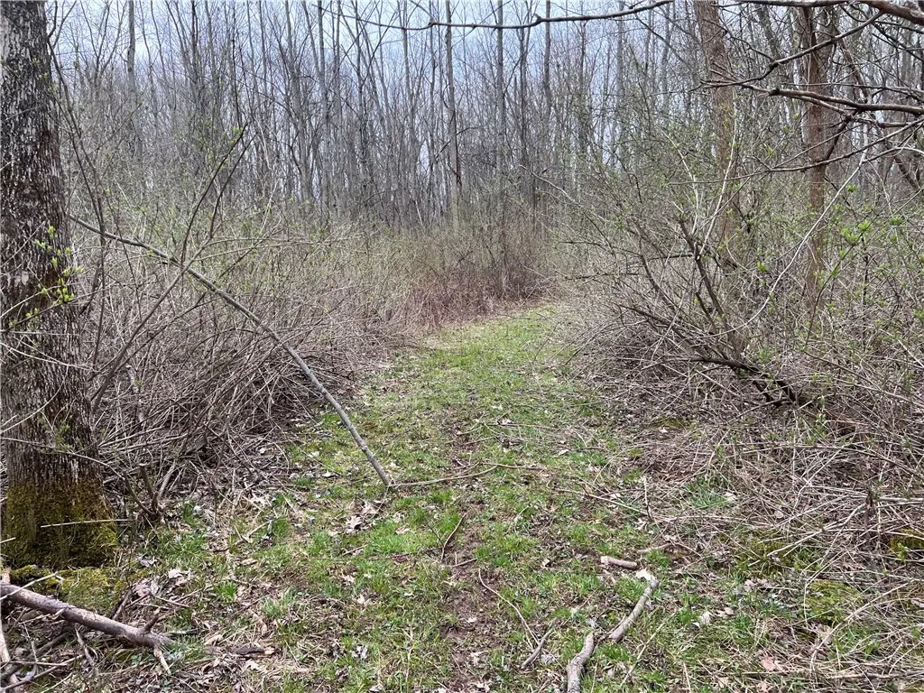 V/l Sandy Creek Lane, Murray, New York 14470, Murray, New York 14470, 3 Bedrooms Bedrooms, ,2 BathroomsBathrooms,Land,Closed,V/l Sandy Creek Lane, Murray, New York 14470,0,R1601269