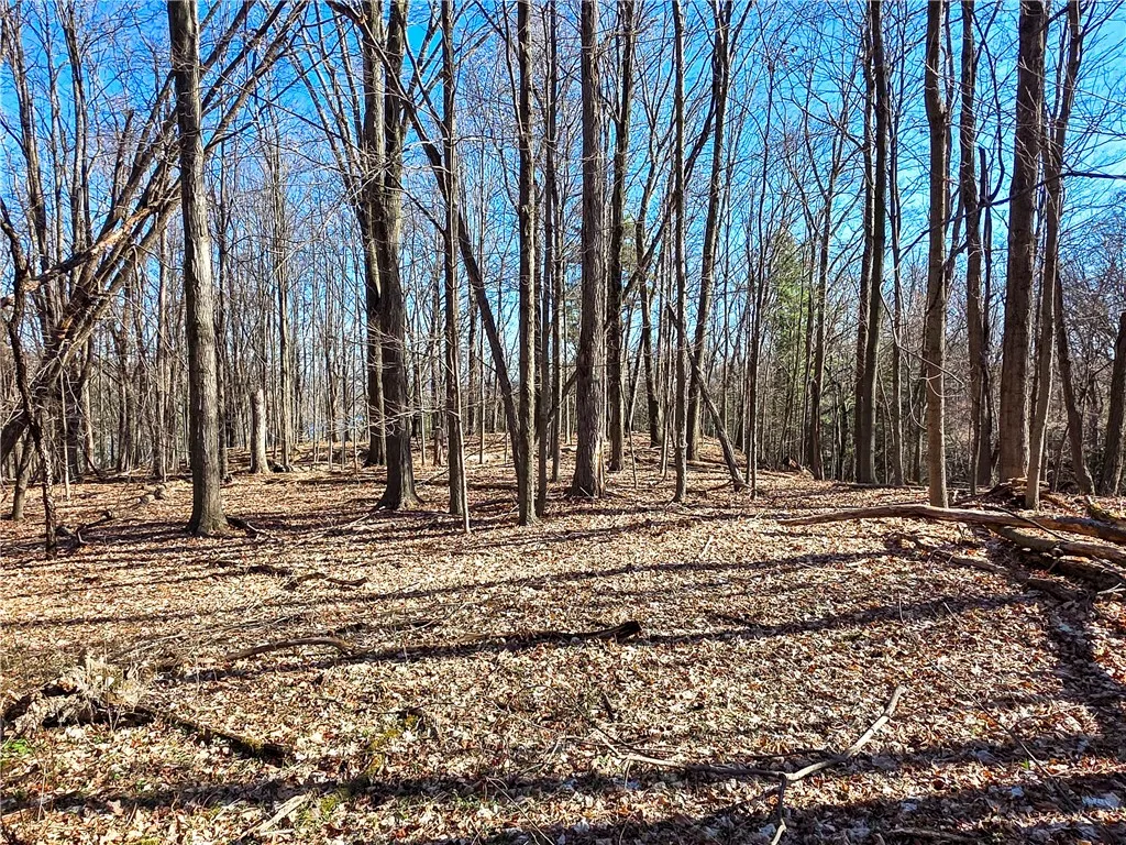 0 County Route 87 Road, Urbana, New York 14840, Urbana, New York 14840, ,Land,For Sale,0 County Route 87 Road, Urbana, New York 14840,0,R1600019