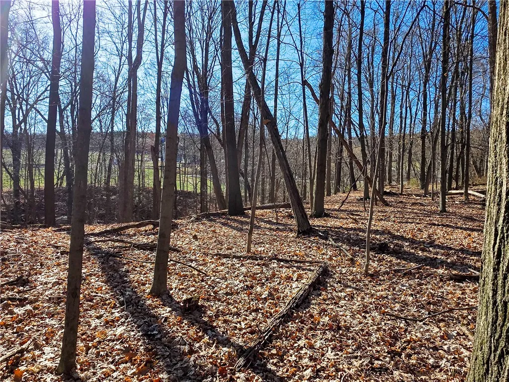 0 County Route 87 Road, Urbana, New York 14840, Urbana, New York 14840, ,Land,For Sale,0 County Route 87 Road, Urbana, New York 14840,0,R1600019
